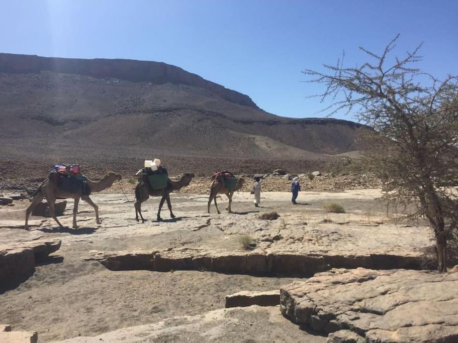 Hotel Familiale Les Grotte Ait Ben Haddou Bagian luar foto